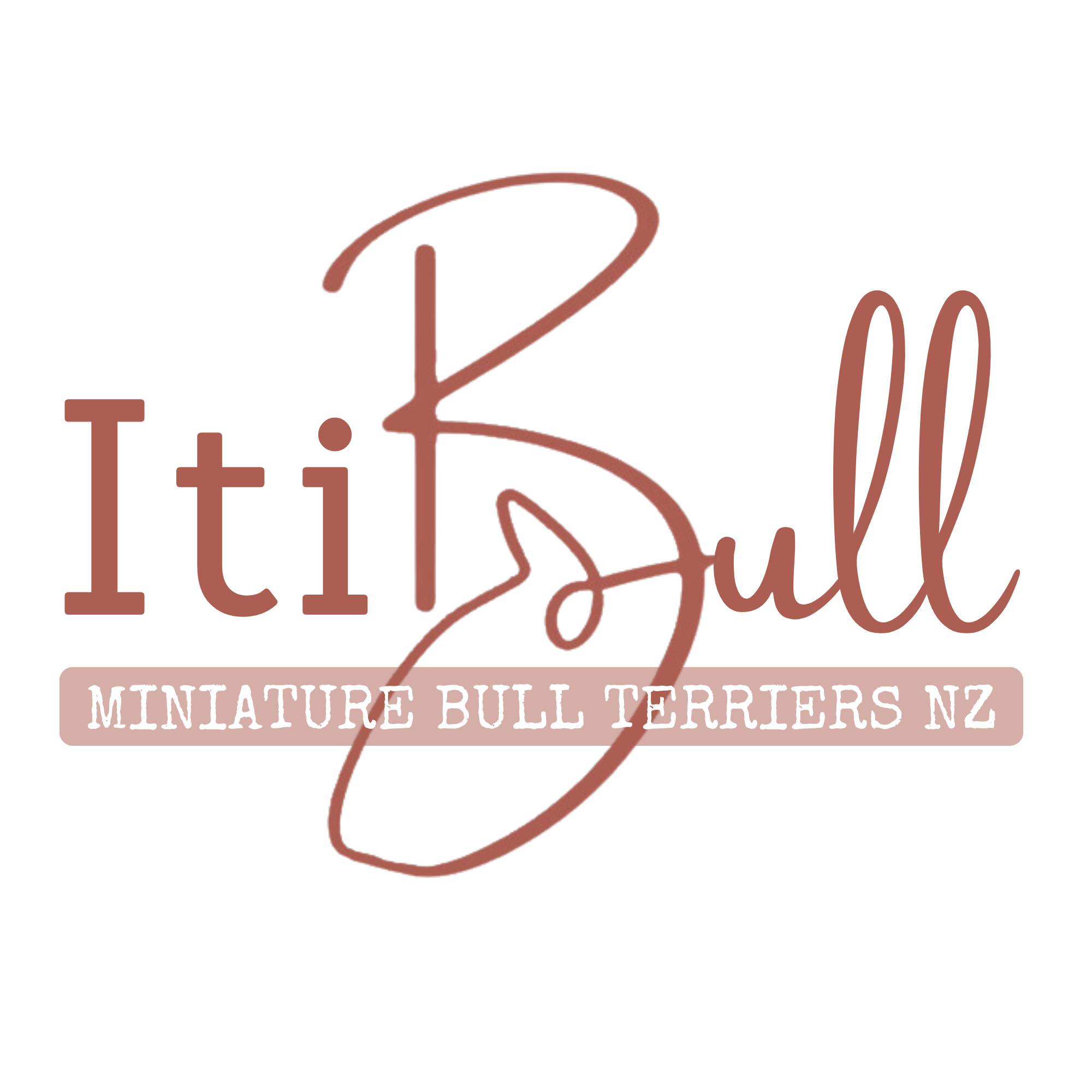 ItiBull