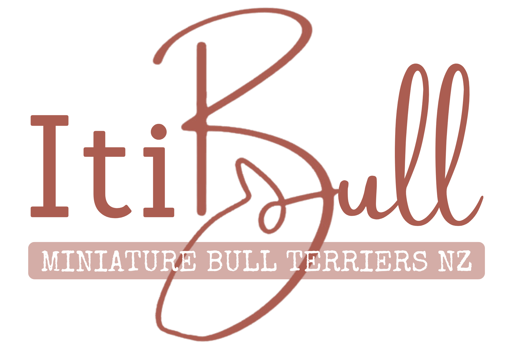 ItiBull